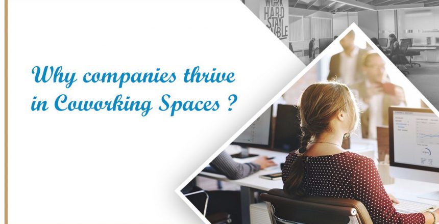 Coworking for SME's